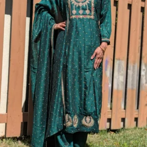 green silk embroidered suit